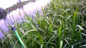 Трофейная рыбалка на ЖЕРЕХА.Ловля жереха на майского жука.Рыбалка на кораблик (саночки)