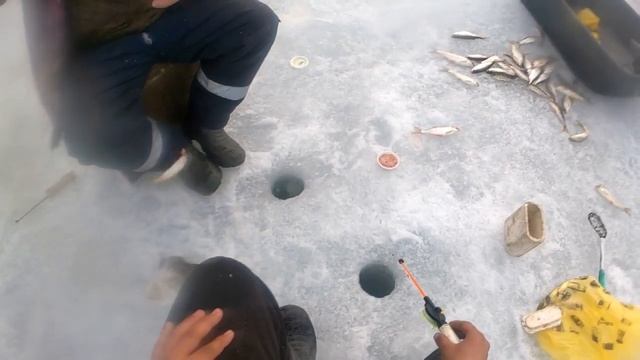 Зимняя рыбалка Попали на яму с рыбой Вечерний клёв#Котокель#рыбалка#ДмитрийHD