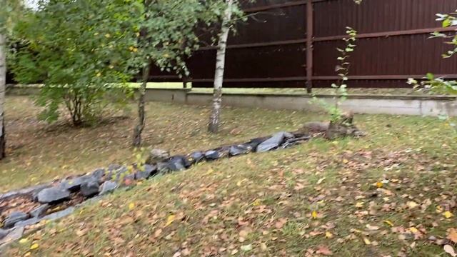 Иволги Сад смотреть онлайн