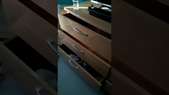 Roach raid Fogger day 1.5 set 6 bomb total in the house смотреть онлайн