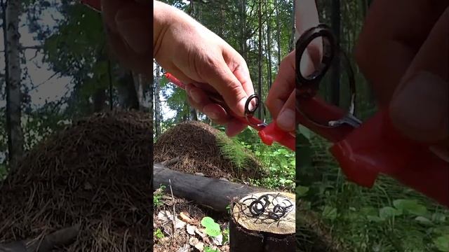 Простой способ сделать самодельный спиннинг из куска дерева. #shorts #fishing #рыбалка #рыба смотреть онлайн