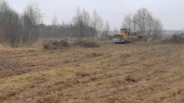 Корчевка сельхоз земли чтз Б10 , т-130 смотреть онлайн