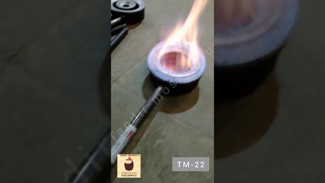 Горелки Марки ТМ-22 и ТМ-25. Горит на баллонный газ смотреть онлайн