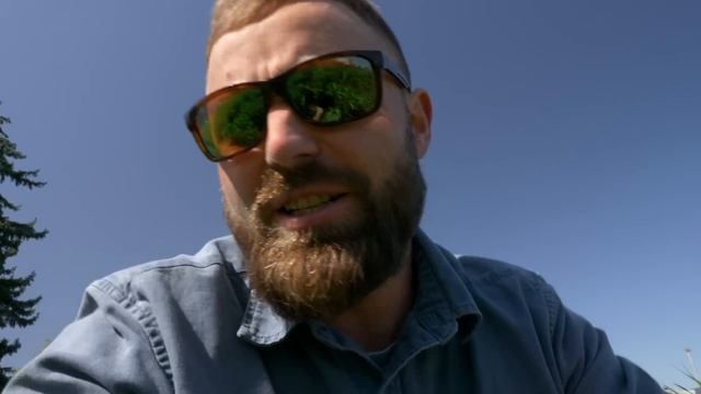 Foraging 10 Common Garden Weeds and Wild Edibles смотреть онлайн