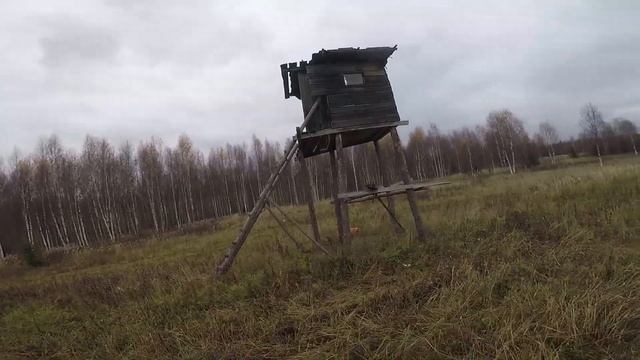 Осенний лайтовый выезд Stels Guepard 650 смотреть онлайн