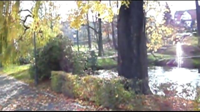 Назад в ГСВГ. Эпизод 13й. Прогулки по Гримме. ноябрь 2008г. смотреть онлайн