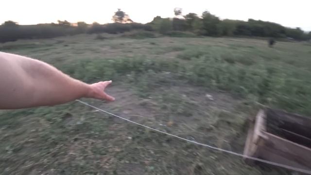 Дела текущие. Не успеваем... Сколько корова дает молока??? / Семья в деревне смотреть онлайн