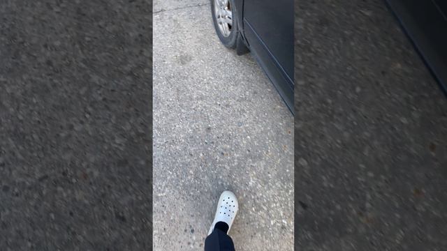 Обзор на сузуки лиана