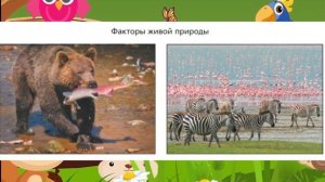 Биология, 5 кл., § 18 «Экологические факторы среды»