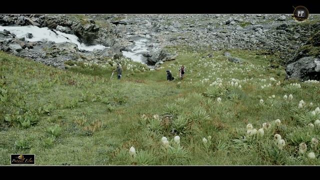 TUMHARI KHUD new Video Footage - Patwal Films👌 Song by - Narendra Singh Negi ji смотреть онлайн