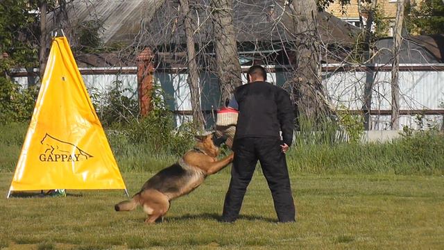 Хасандра оф Флокиш Фест, фактор, 1.06.2014, Уфа смотреть онлайн