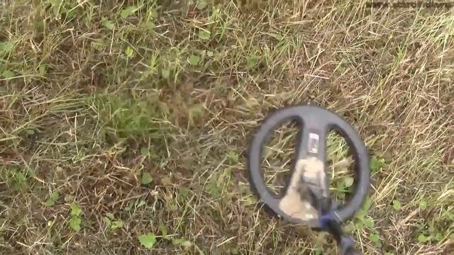 В ПОИСКАХ ЗОЛОТА ПОИСК МОНЕТ И КЛАДОВ СЕРЕБРО ИЗ ДОРОХОВО SILVER FROM DOROKHOVO BEAUTIFUL FINDS смотреть онлайн