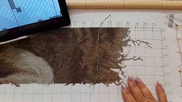 Вышивальная неделя № 28 - 28.11.- 05.12.2021г. смотреть онлайн