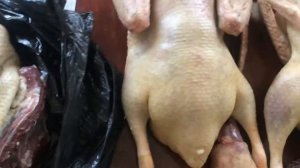 Сравнение уток 2  Стар 53 и Голубой Фаворит