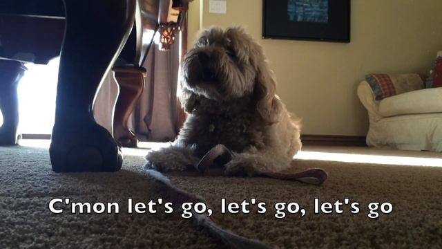 Sadie Wants to Step Out - Woof! смотреть онлайн