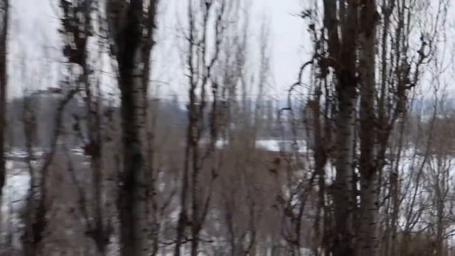 3-x комнатная квартира на набережной Воронеж смотреть онлайн