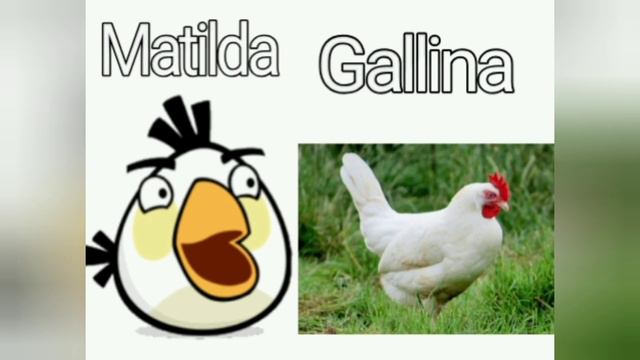 Angry birds todos los pájaros en la vida real смотреть онлайн