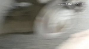 Замена задних колодок электро ручник Scenic 3 Megane 3