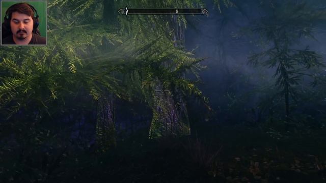 WEREWOLF HUNT! - Skyrim: Live Another Life 2 (Monk) Let's Play 29 (PC | 1080p | Modded) смотреть онлайн