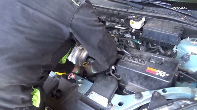 mehr Power durch Puma Ansaugbrücke? | Dynoday / Leistungsmessung | Ford Focus MK1 | the F - Team смотреть онлайн