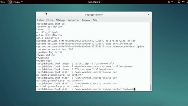 TUTORIEL: Installation d'un serveur WordPress à la maison sur Debian 8 смотреть онлайн