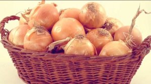 Вы об этом не знали!!! Польза репчатого лука для здоровья