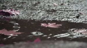 Джио россо | Прошлое-это прекрасно, моя Мари | Nevskaya