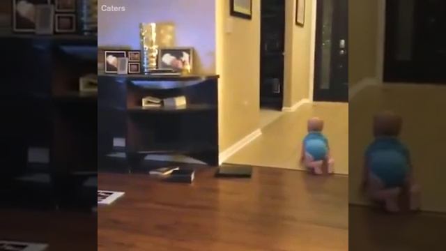 Когда собаки заботятся за нашими детьми #DOG and KIDS смотреть онлайн