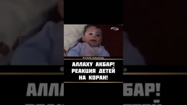 Чудеса Аллаха смотреть онлайн