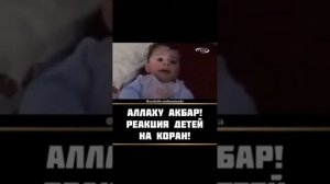 Чудеса Аллаха