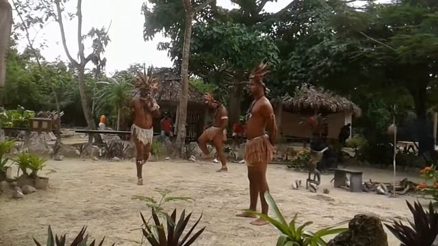 Manati park punta cana смотреть онлайн