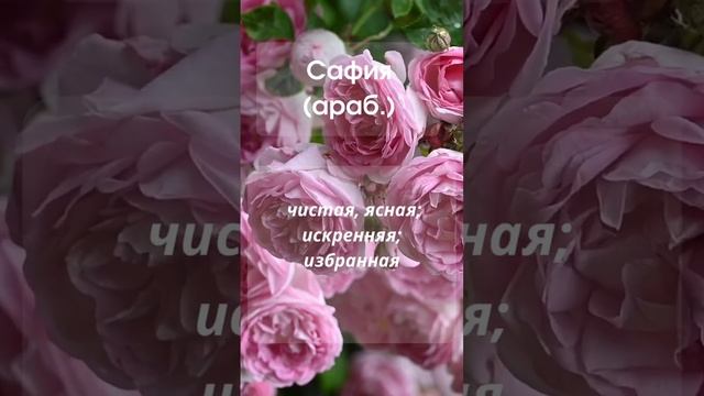 Значение имени Сафия #значениеимени #мусульманскиеимена #женскиеимена смотреть онлайн