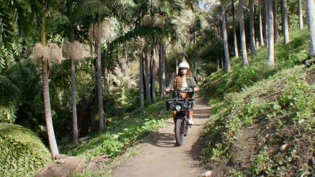 New Electric Utility Bike | RadRunner 3 Plus | Rad Power Bikes смотреть онлайн