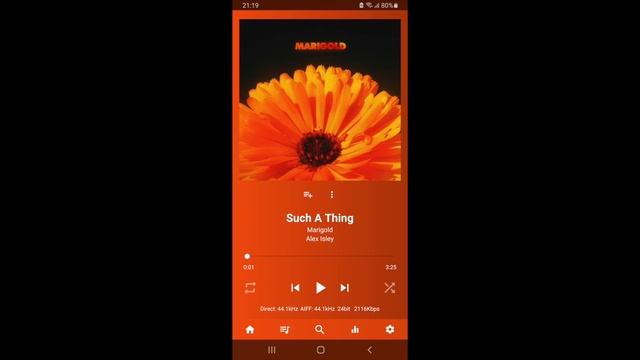 USB Audio Player Pro (UAPP) : The king of digital music player apps (17/10/23) смотреть онлайн