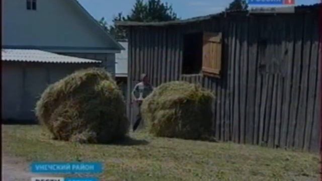 Сено раздадут бесплатно смотреть онлайн