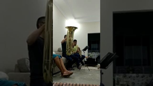 Tuba weril J981 modelo novo cliente que comprou conosco tudo em tuba смотреть онлайн