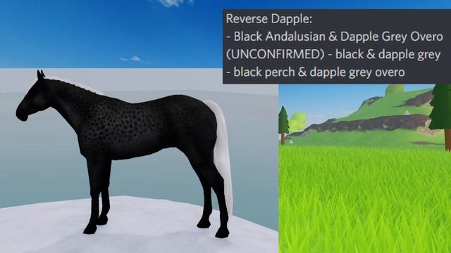 Wild Horse Islands | New Coats and How to Get Them! смотреть онлайн