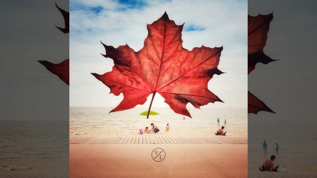 Превращение опавших листьев смотреть онлайн