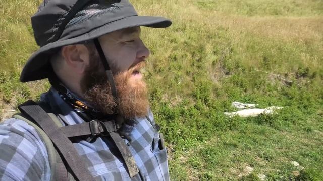 Fossil hunter finds potential fossil skull (bonus mailbag) смотреть онлайн