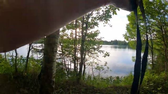 Вело ПВД на одну ночь . смотреть онлайн