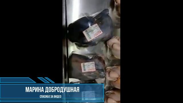 чёрное мясо кур, дегустация, общественное мнение смотреть онлайн