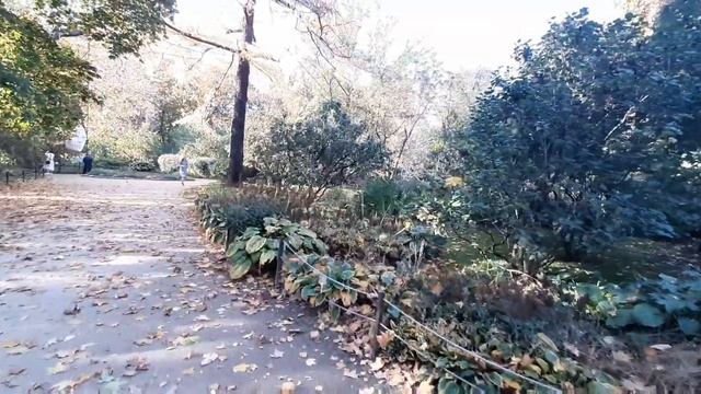 Москва. Прогулка по "Аптекарскому Огороду".Часть 2. Старый пруд. Петровская лиственница смотреть онлайн