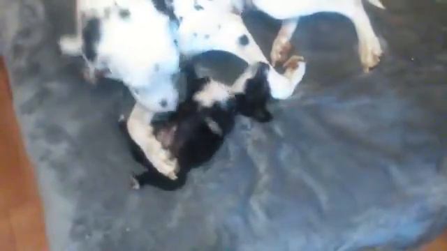 Девочка Алекса с мамой)))