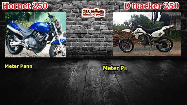 Honda Hornet 250 (cb250f) vs Kawasaki D Tracker 250 (klx250d) | Sinhala | Sri Lanka смотреть онлайн