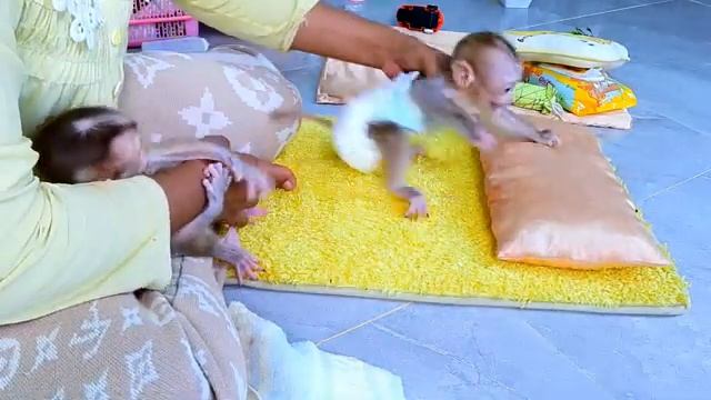 Обезьянка смотреть онлайн