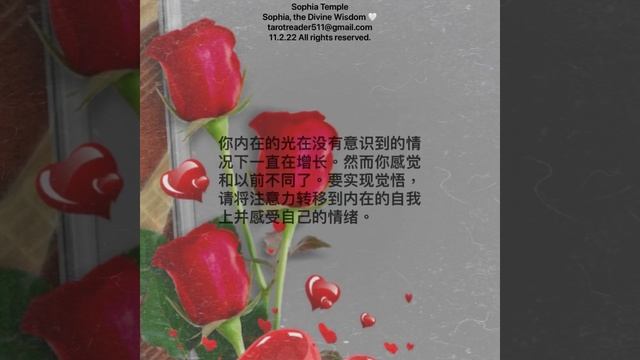 11.2.22 Twin Flame Collective Reading (Llama Gemela, Flamme Jumelle, Fiamma Gemella, Ngọn lửa đôi) смотреть онлайн