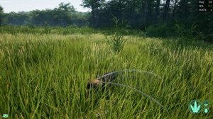 САМЫЙ КРАСИВЫЙ И ЯДОВИТЫЙ ДИНОЗАВР ( The Isle )