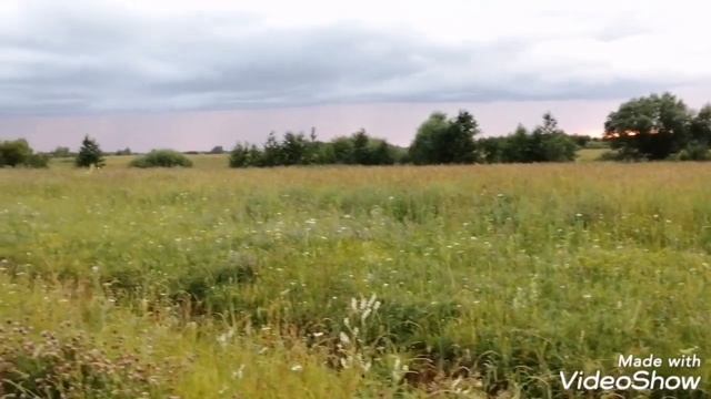 Вспоминая лето...))) Красота неба и земли!!! Новгородская область. смотреть онлайн