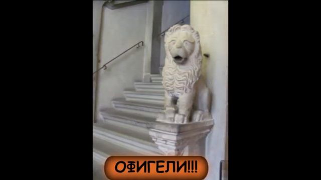 Наши люди Дожинки 2014 смотреть онлайн