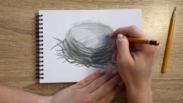 Как нарисовать гнездо карандашом | Рисунок для начинающих поэтапно смотреть онлайн